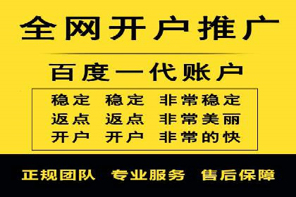 SEM运营推广策略案例分析